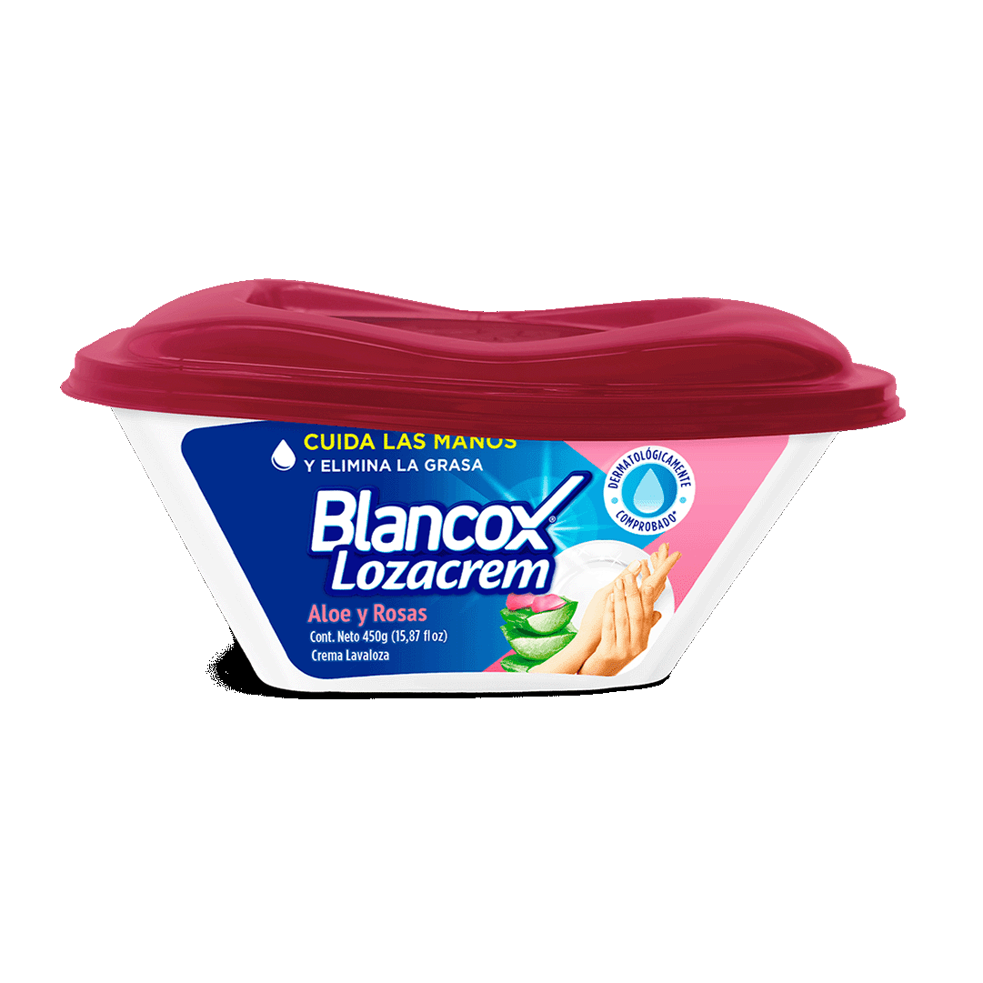 Lavaplatos Blancox Lozacrem x450gr